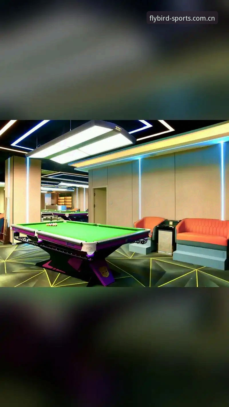 新版小鸟棋牌体育2026赛事数据安装全流程深度分析：从旧版故障到v3.2正式版的现场还原